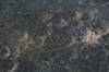 2017-08-21 Eclipse 123